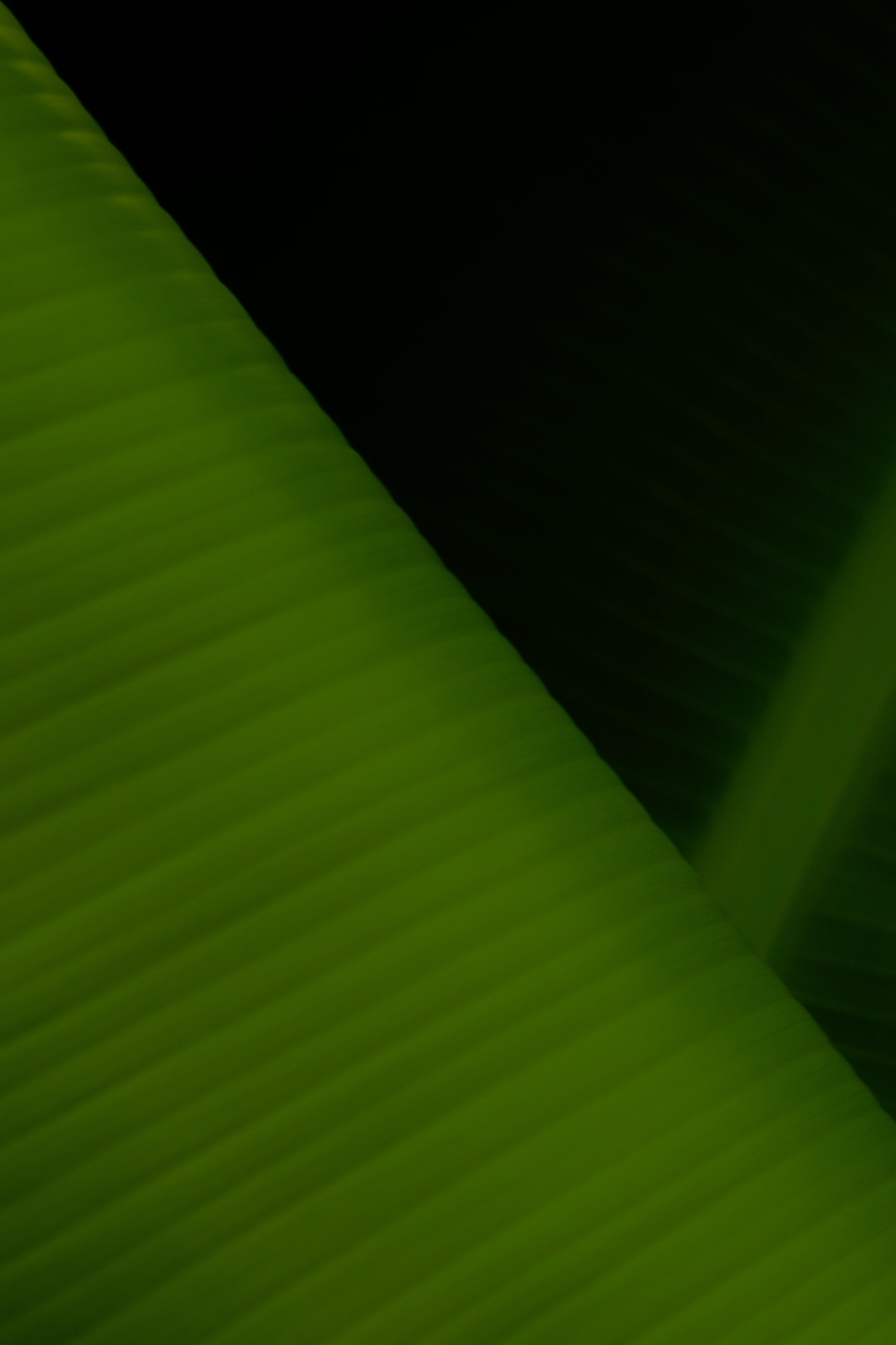 Policy & Advocacy Background